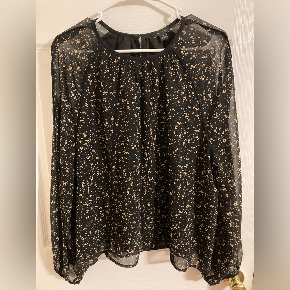 Ann Taylor long sleeve chiffon top
